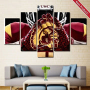 USC Trojans Football Wall Art Canvas Framed Decor
